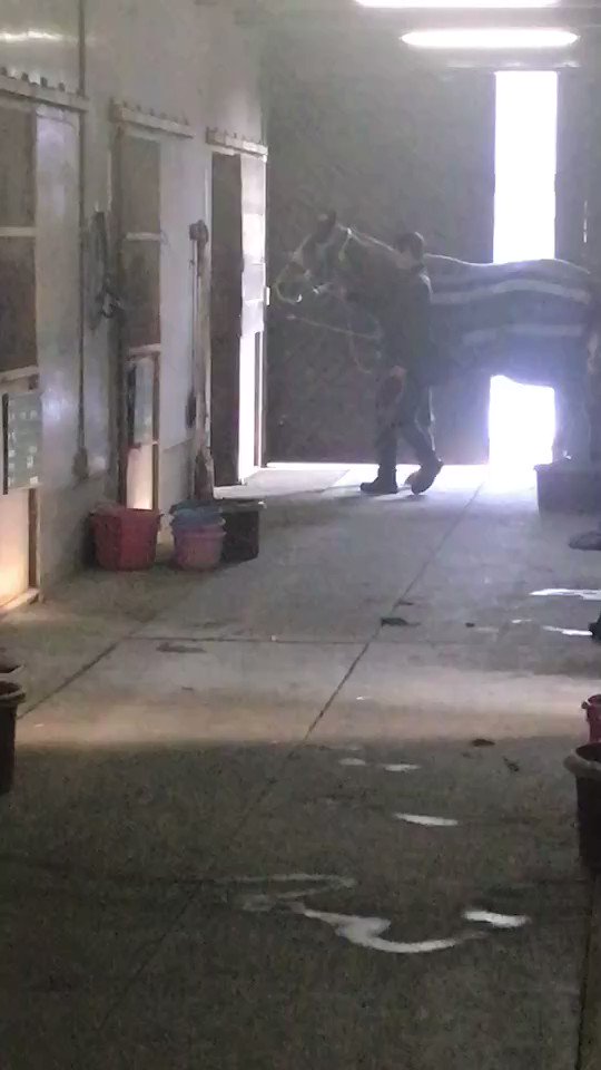 ユキちゃん.🐰❤️
痛みが早く取れます様に‥🥹❤️
上手先生
tweetありがとうございます.🙇
#ユキヤコンコン 🐰❤️ 