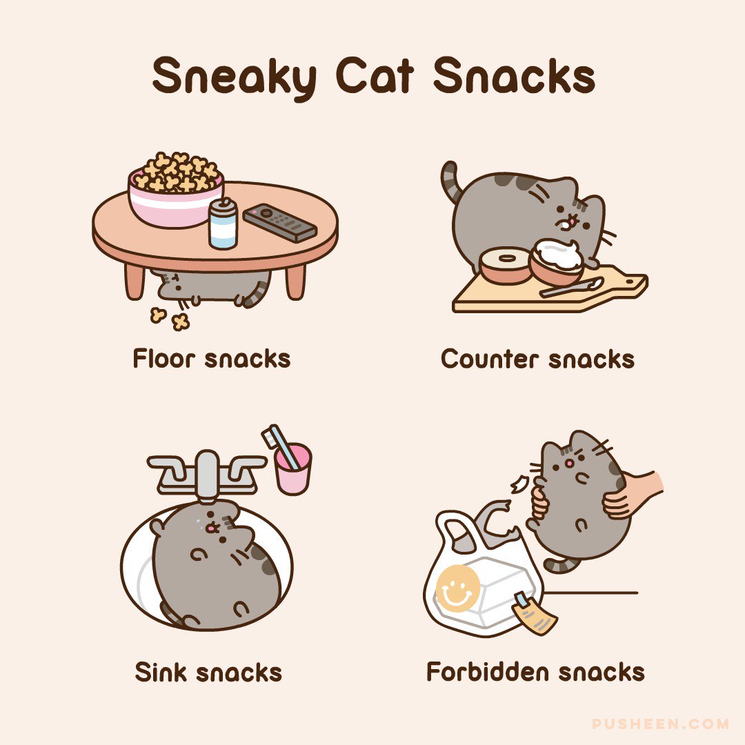 Pusheen : Sneaky Cat Snacks