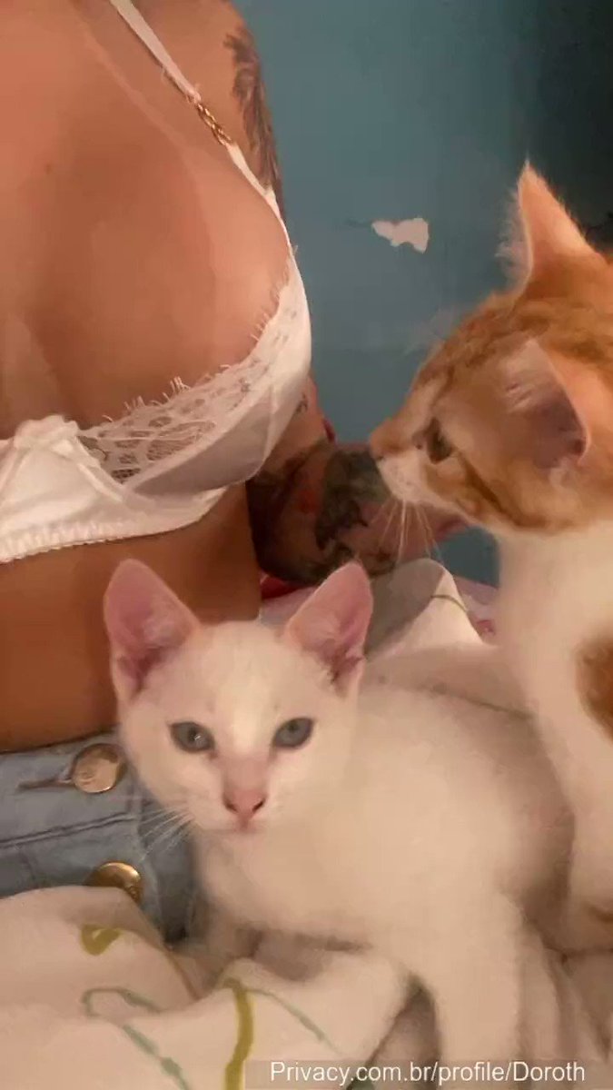 Zoeira Da Vida on X: 🚨Eita! Video de pipokinha com gato viraliza em redes  sociais e divide opiniões. O que acham?🚨👀 t.coTouI4AV0Vd  X