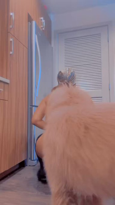 He hates being left out 🤣 https://t.co/HFTsaxpCF4<a href="/tag/ebony"class="tags"><span>#ebony</span></a><a href="/tag/chrisbrown"class="tags"><span>#chrisbrown</span></a><a href="/tag/xxx"class="tags"><span>#xxx</span></a><a href="/tag/freaky"class="tags"><span>#freaky</span></a><a href="/tag/pov"class="tags"><span>#pov</span></a><a href="/tag/nsfw"class="tags"><span>#nsfw</span></a><a href="/tag/bubblebutt"class="tags"><span>#bubblebutt</span></a>