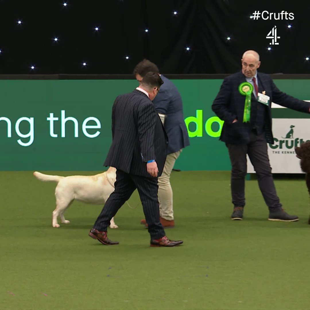 Crufts on Twitter "Shooting to the top, Orca is your Crufts 2023