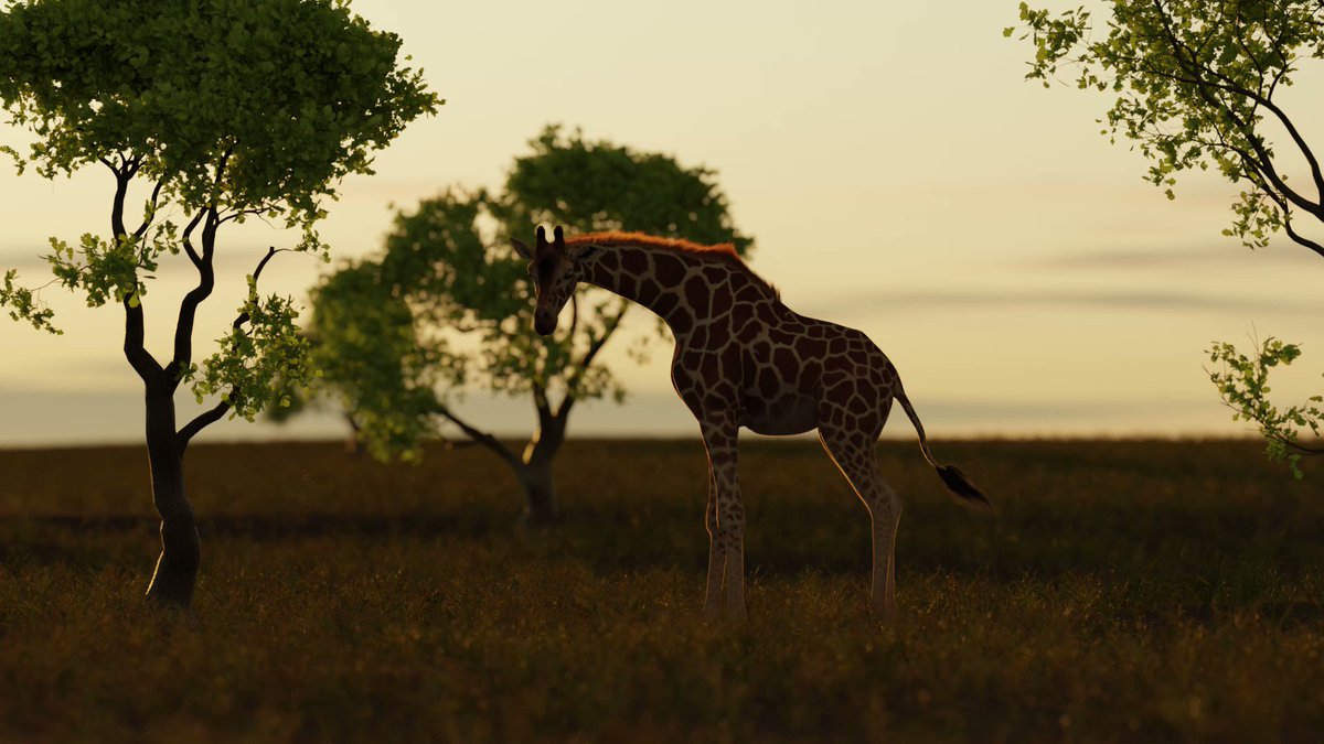 Tierzoo On Twitter Continuing To Level Up My Channel S Animations Tierzoo On Twitter Continuing To Level Up My Channel S Animations