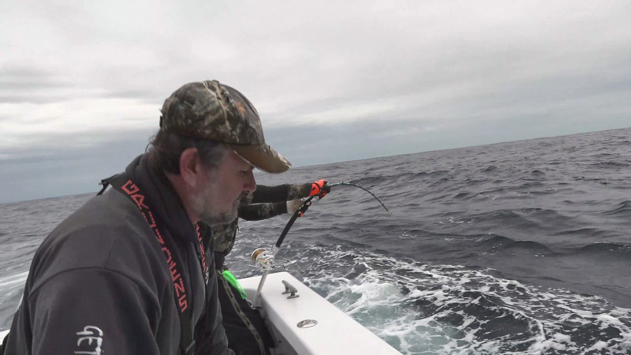 茂木陽一世界を釣る 1世界のモンスターたち sbdonline2.net