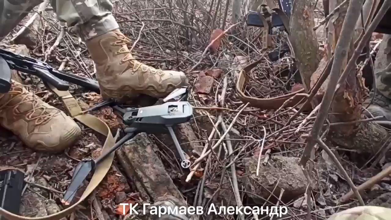 Олегсандр Львович Ландау (@phdinir) / Twitter