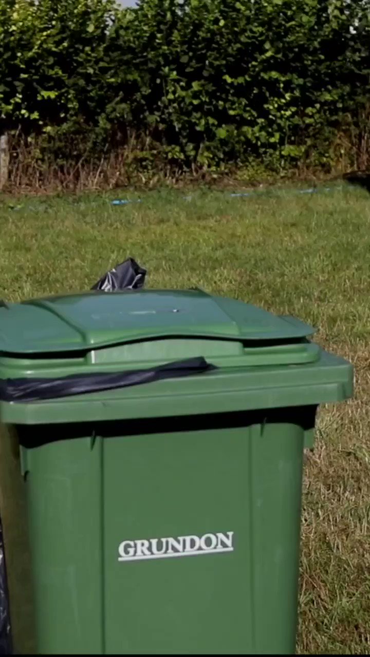 CarFest (Carfestevent) / Twitter