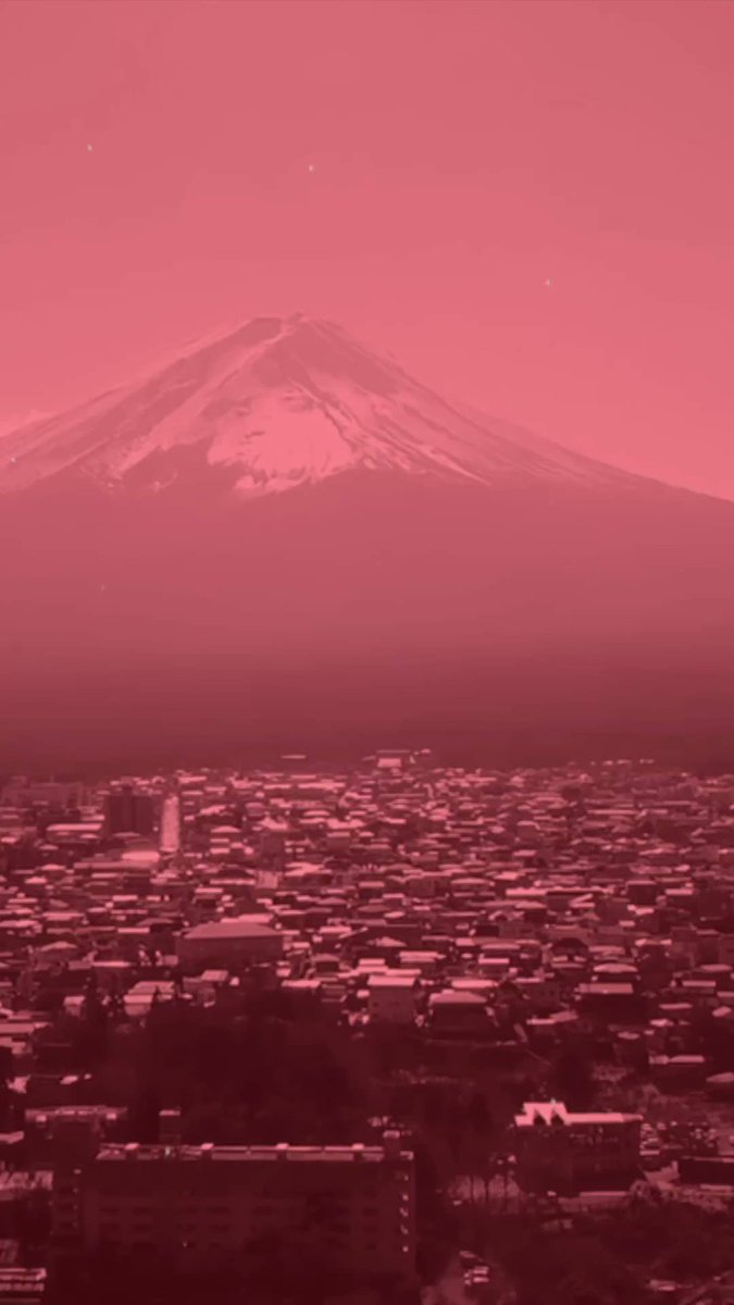 新加入のホセカンテ選手✨
これはめちゃめちゃカツコイイし
めちゃめちゃ期待しちゃいますね🔥

#JoseKante
#urawareds  #浦和レッズ 