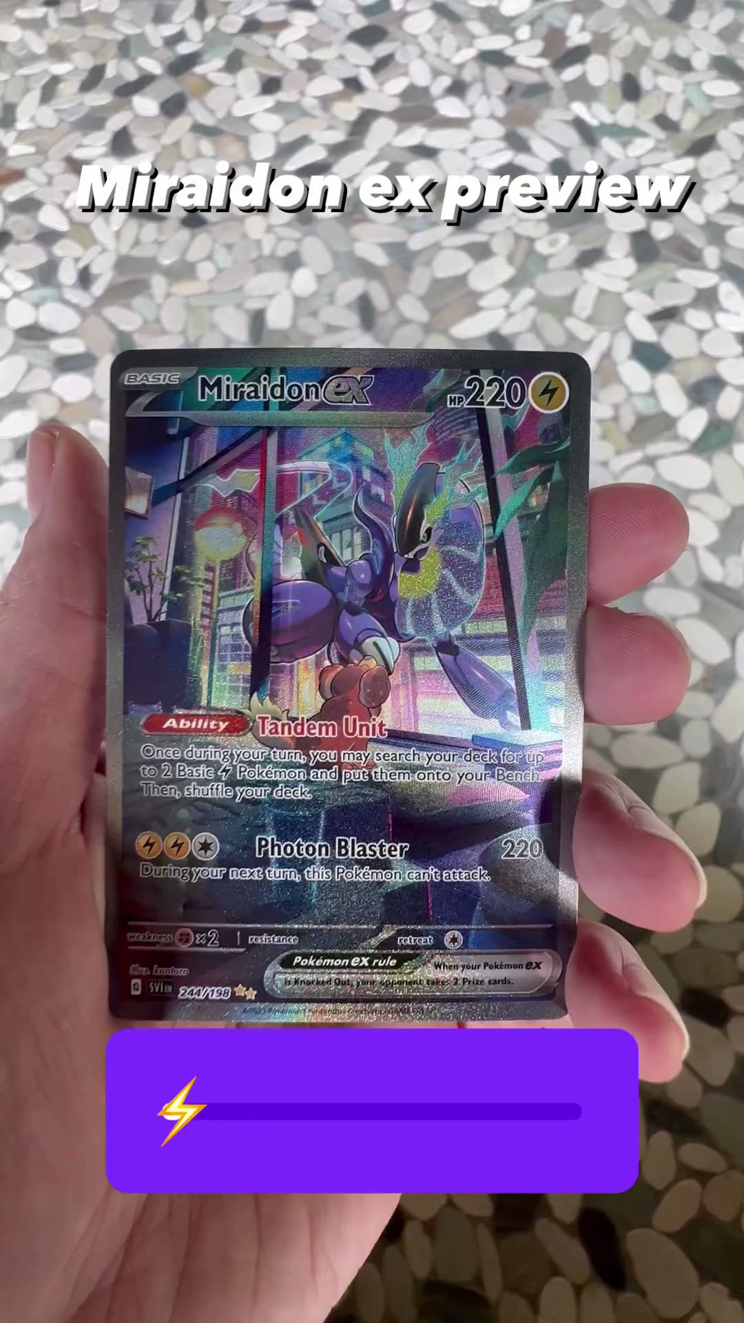 PokeGuardian on X: Official In-hand preview by Pokemon of