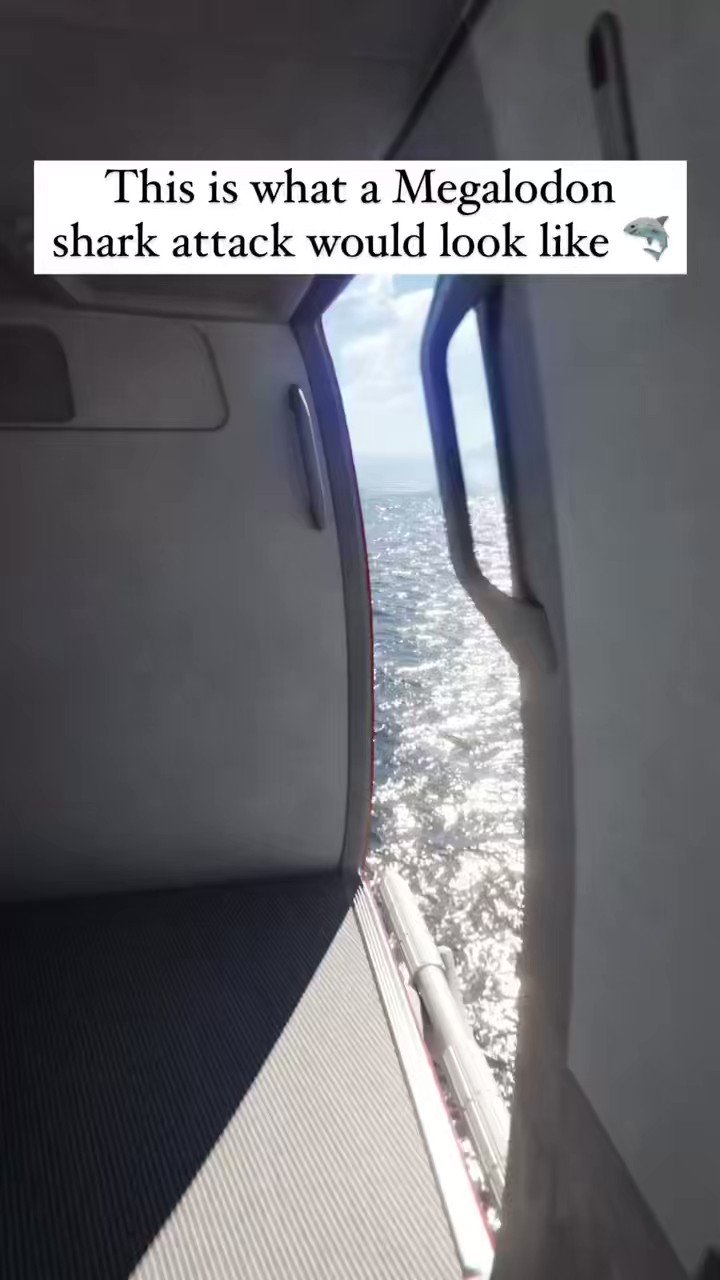 Sharksploitation on Twitter: "This is what a Megalodon shark attack