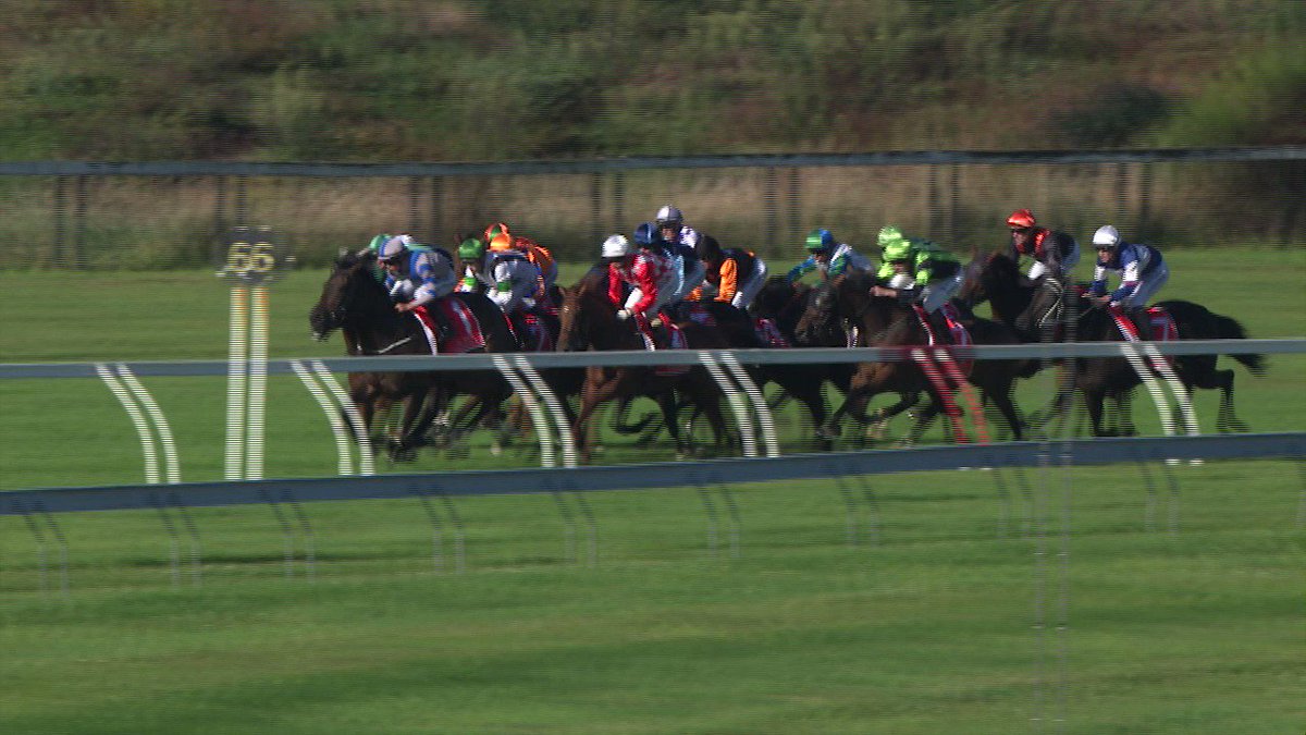 TAB Racing on Twitter "“THE DREAMS ARE COMING TRUE” Half the grandstand were wearing the