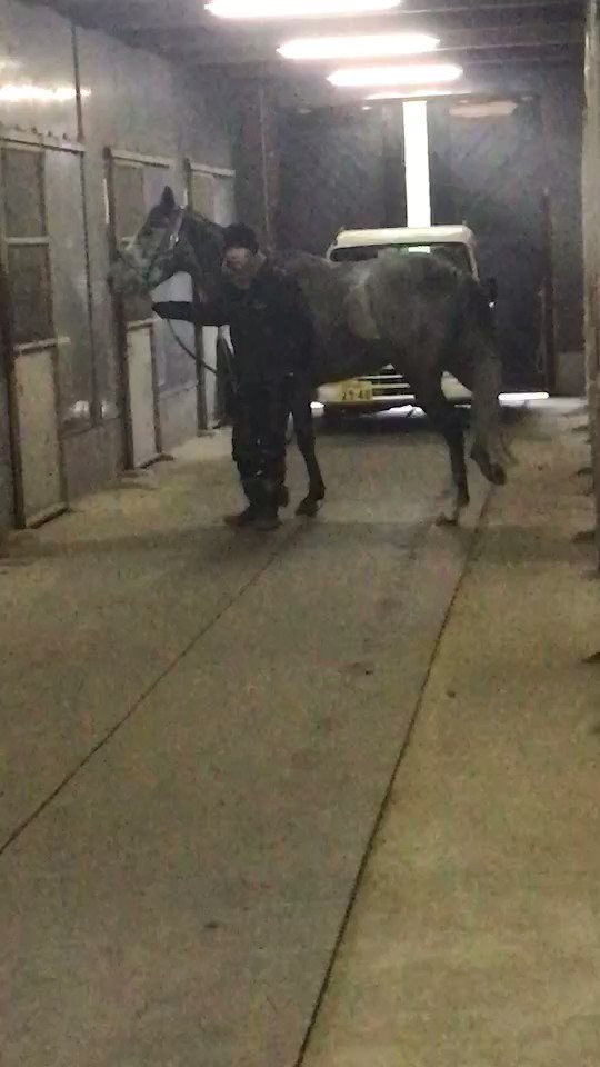 ユキちゃん.🐰❤️
*｡٩(ˊωˋ*)و*｡Fighting‥📢📢📢❤️
#ユキヤコンコン 