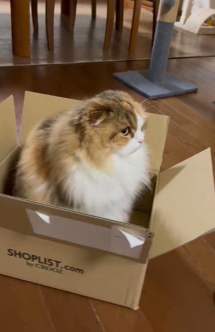 あられ様 シルバー サイドクロス ネックレス&ペンダント 40cm-45cm