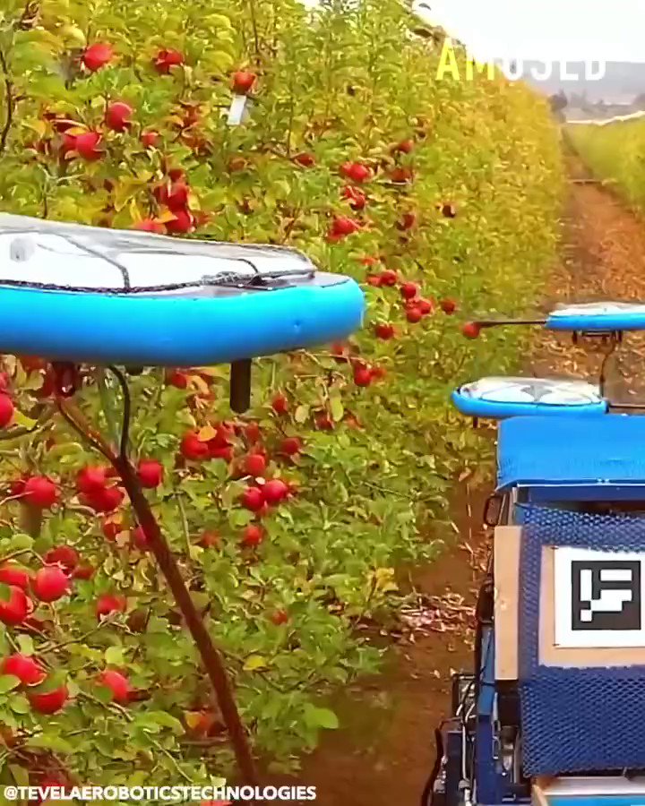 उत्तरपथ. on Twitter: "मशीनीकरण ने कृषि को कितना बदला, लेकिन दुनिया के