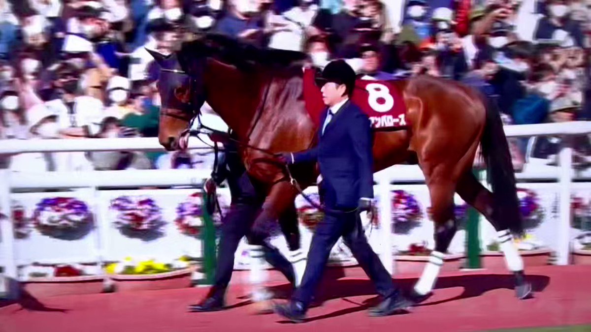 アイアンバローズくんったら💗 