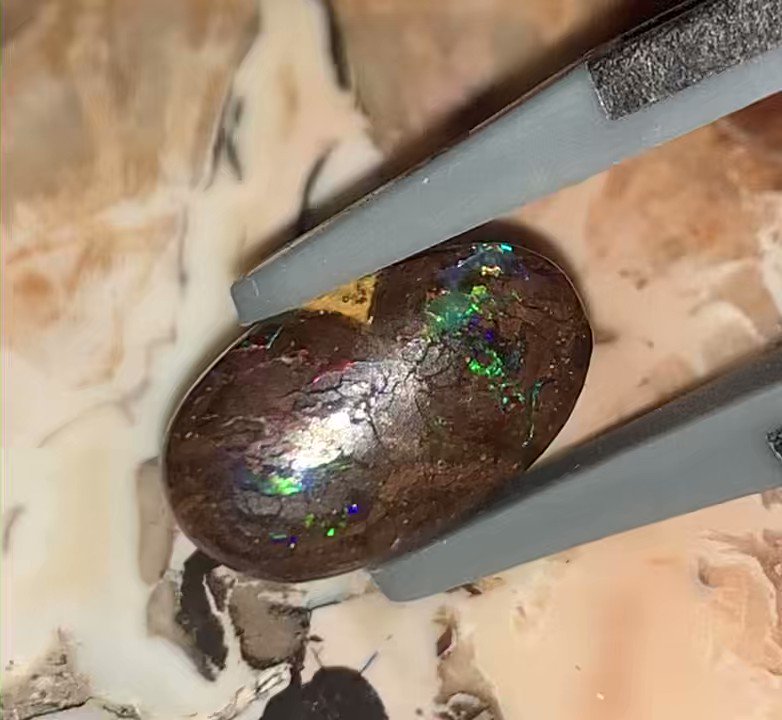 特選ボルダーオパール y23 | centroclinicoaveiro.pt