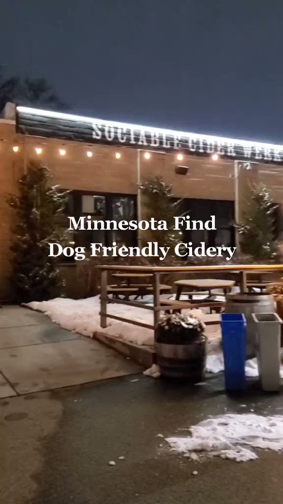Can't wait to explore more dog friendly places as the weather warms up! Minnesota businesses; are you in need of some new content? I'm your gal! Oliver will be happy to come along for the ride #ugccreators #ugctravel #minnesotafinds #onlyinmn #ugcpet #contentcreator #petfriendly https://t.co/Sl2bUKCFzB