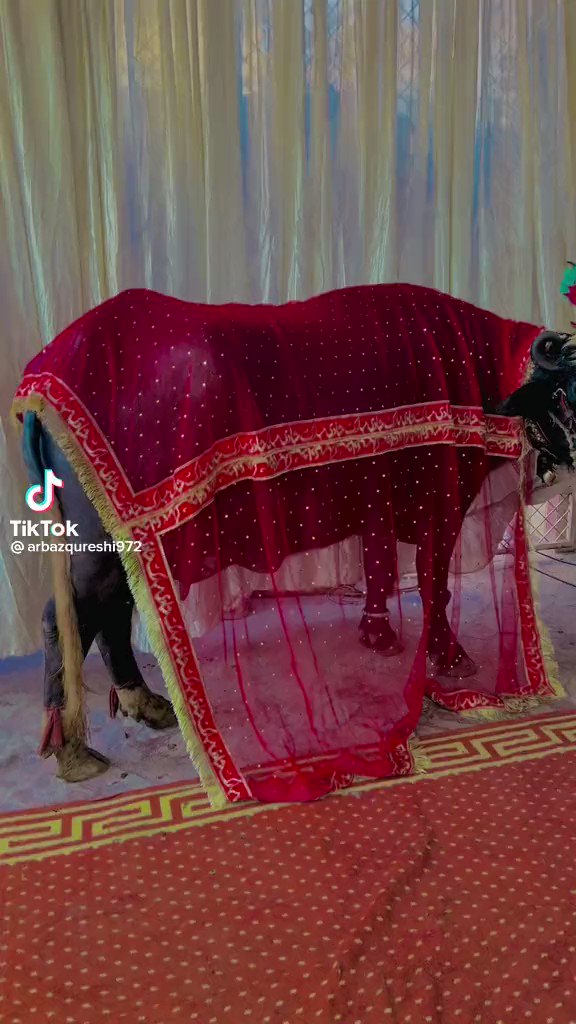 PostGeoPolitik🏳🔱 on Twitter "1st few seconds of clip show Pakistani