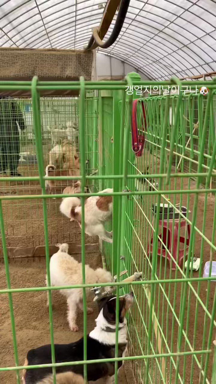 🐈🙌 on Twitter "Chuu volunteered with Weight Lab (weightlab_mokdong) at