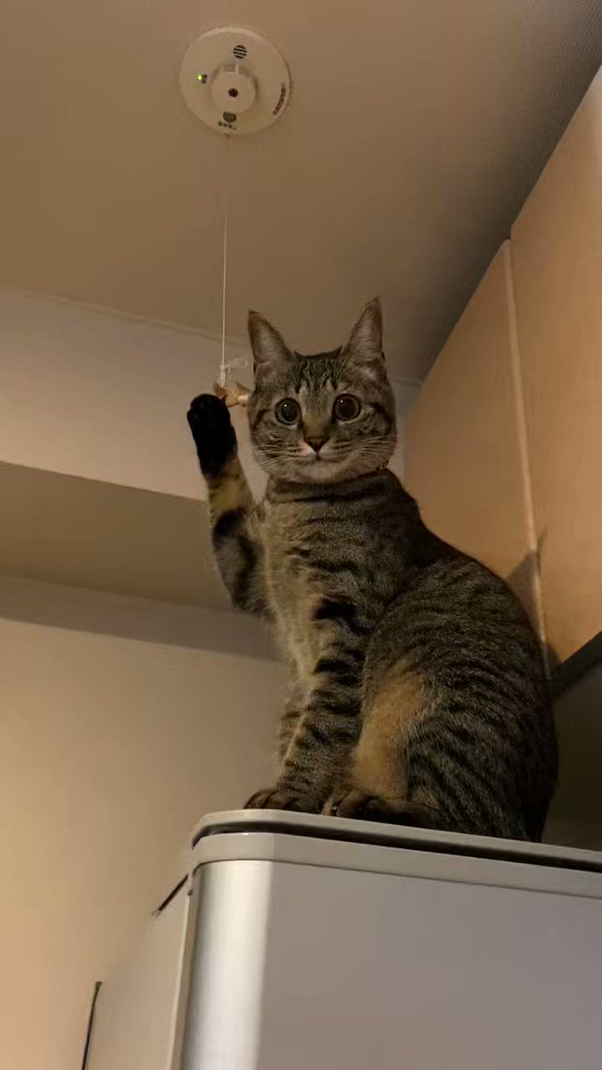 笑いが止まらないかわいすぎるなんなんこのスマイルフェイス 