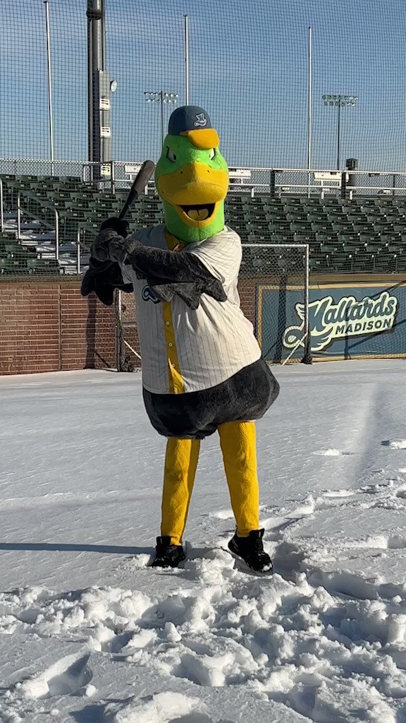 Madison Muskallards on Twitter "Introducing the newest and goodest boy