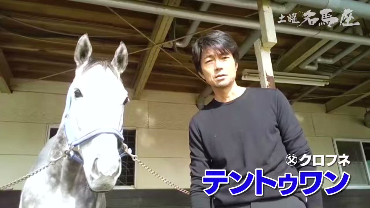 土曜名馬座みたいな😭😭
関西でも放送してほしい😭😭
テントゥワン
めっちゃ可愛いい🥰🥰 