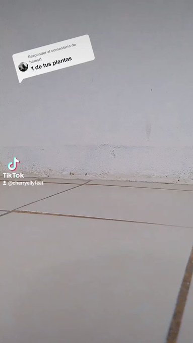 Plantita rosada ??

#feet #feetpic #feetpicsforsales #soles #pies #patas #PiesFemeninos #PiesDescalzos