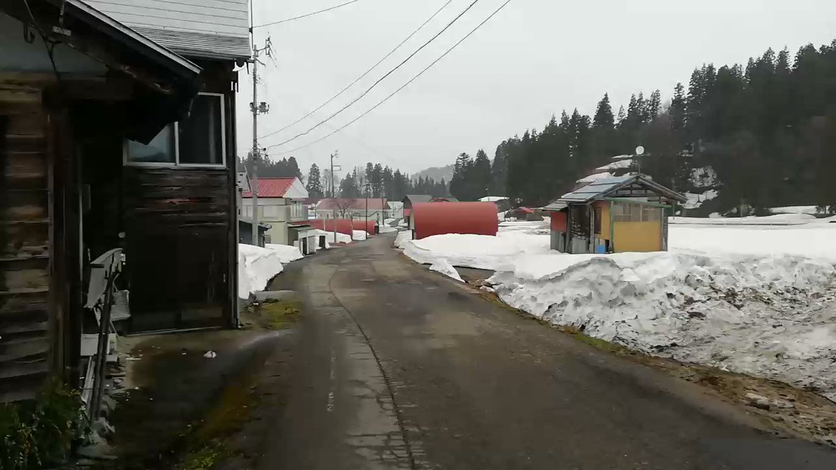 https://pbs.twimg.com/ext_tw_video_thumb/1639392236898230274/pu/img/vEDoIIWvdtdI4FcZ.jpg