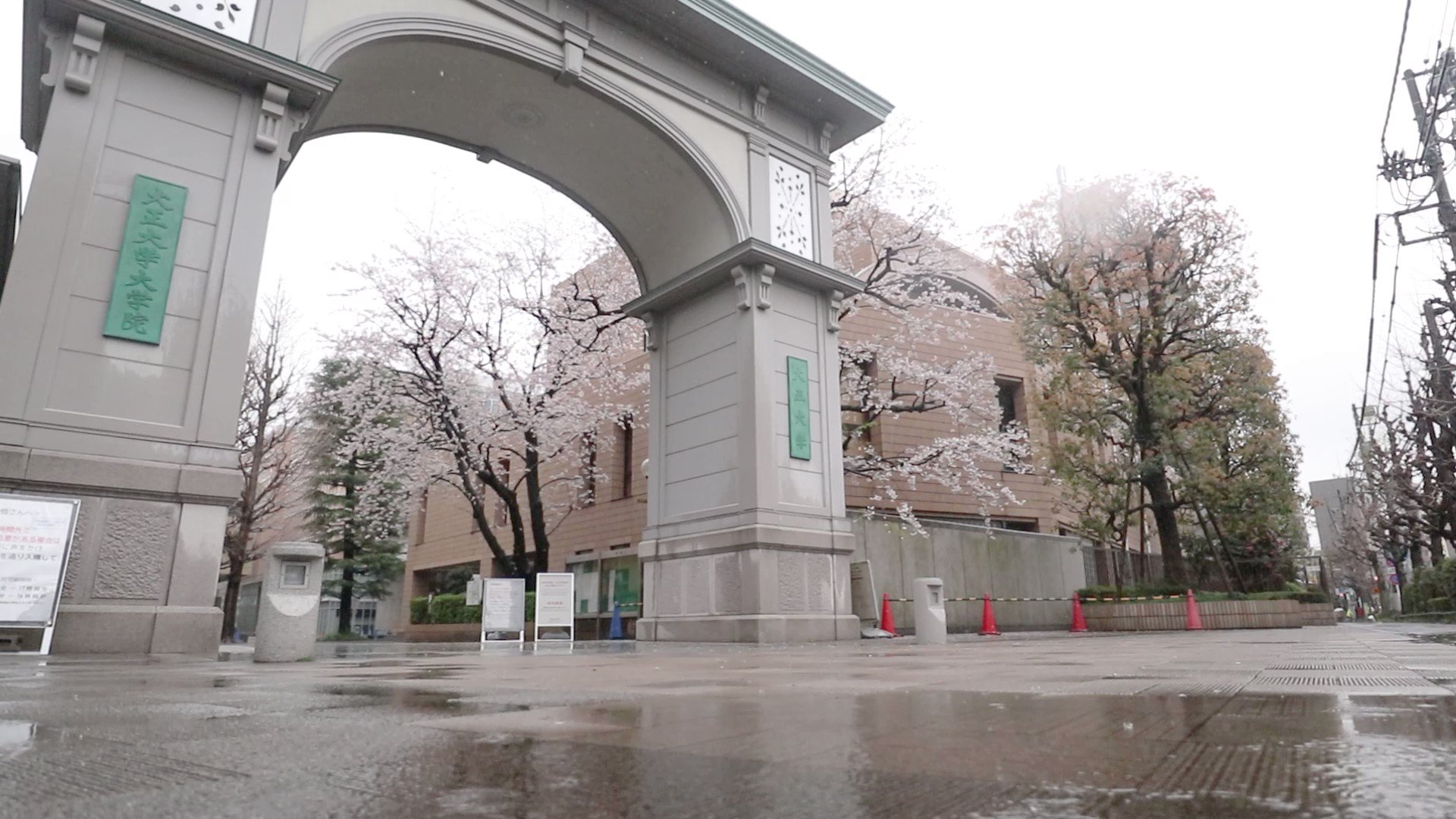 大正大学附属図書館【公式】 (Taisho_library) / Twitter