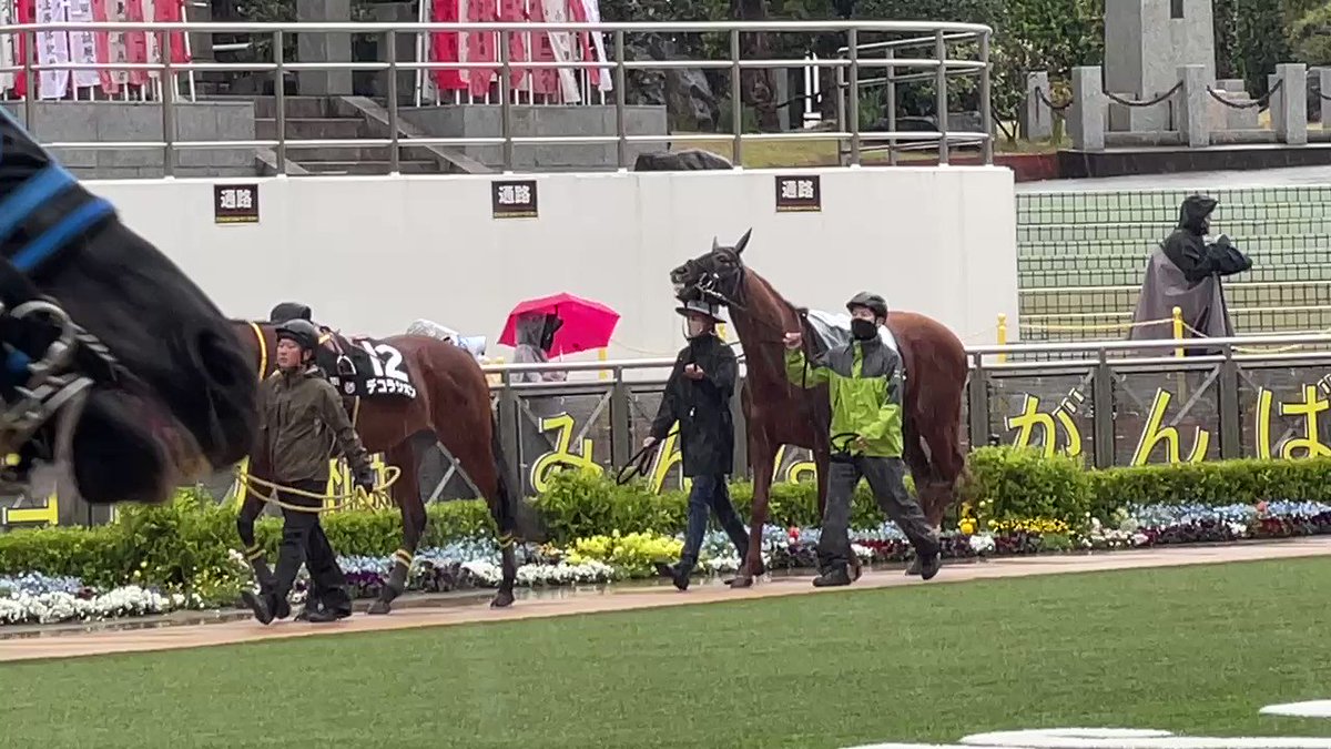 アバンチュリエ、ヴィアルークスの分まで頑張れ〜😆まずは無事に🥹 