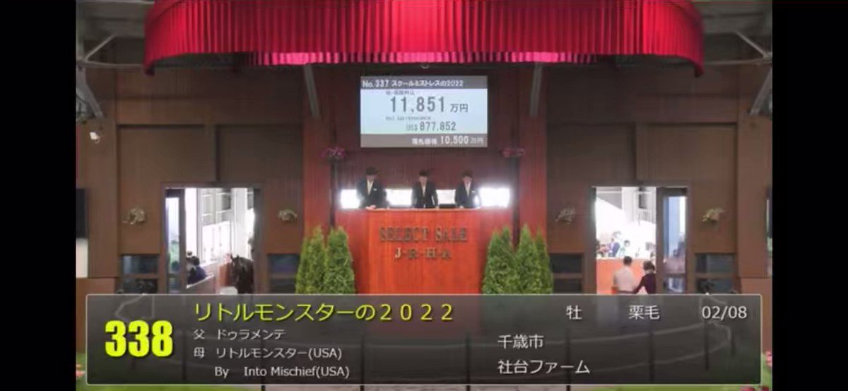 全然調べてないけどこれがリトルモンスターの22なのね。ドゥラメンテ、栗毛(しかもこれ尾花栗毛じゃね？)出資もう確定しましたwこれは好きよ… 