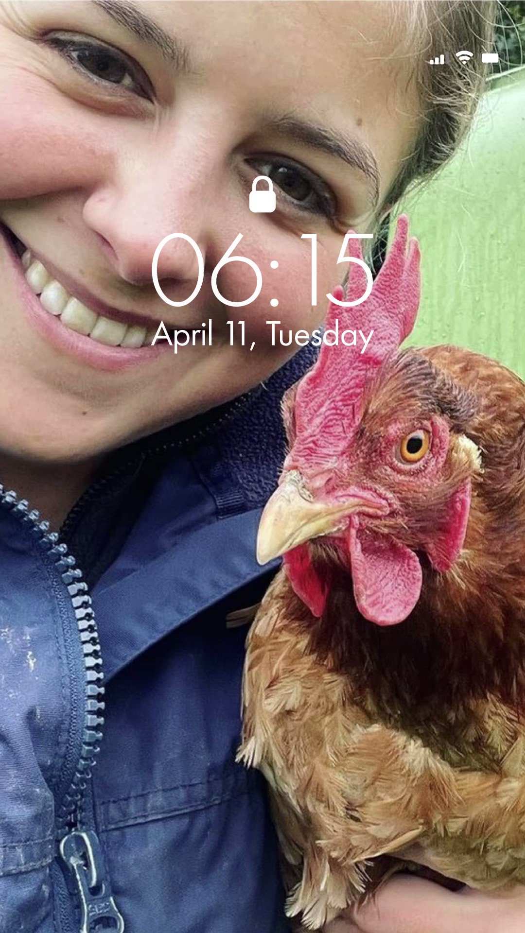 Omlet UK (omlet) / Twitter