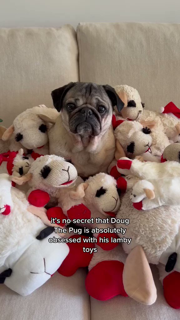 Doug the pug dog toys 2025