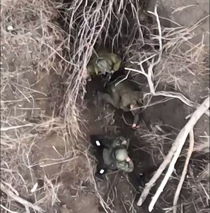 Jake Broe on Twitter: "Your drone drop video of the day! Always worth