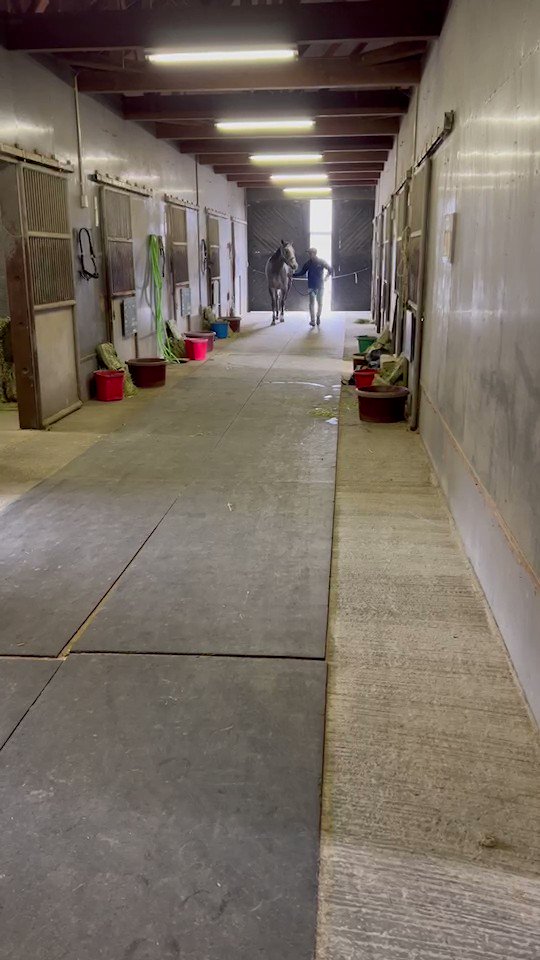 ユキちゃん.🐰❤️
がんばったね−−⬆⬆⬆👏👏👏
上手先生
ありがとうございます.🙇
#ユキヤコンコン 