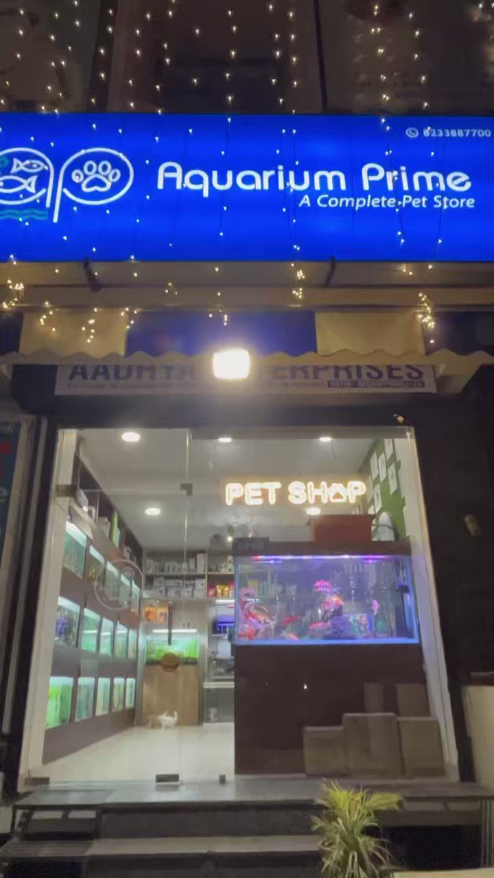 Aquarium Prime (@aquariumprime_) / Twitter