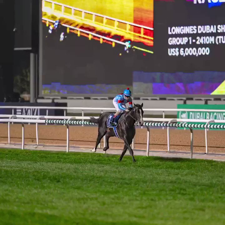 私が大好きだったブラックタイドの孫、イクイノックス。

欲を言えばドバイシーマCでヴェラアズールとの対戦が観たかったな。☺️ 