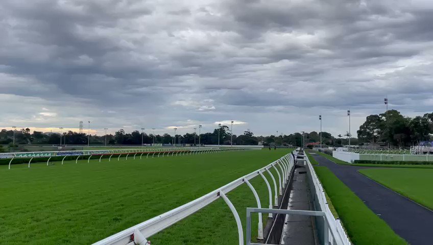 日本からの遠征馬、今朝のカンタベリーパークでの追い切りです！調子良さそうですね🤩
#ユニコーンライオン　#ホウオウアマゾン
#海外競馬　#オーストラリア競馬 