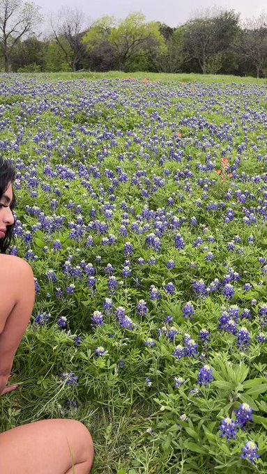 💙💙 #spring https://t.co/VYxF0owkPt<a href="/tag/spring"class="tags">#spring</a>