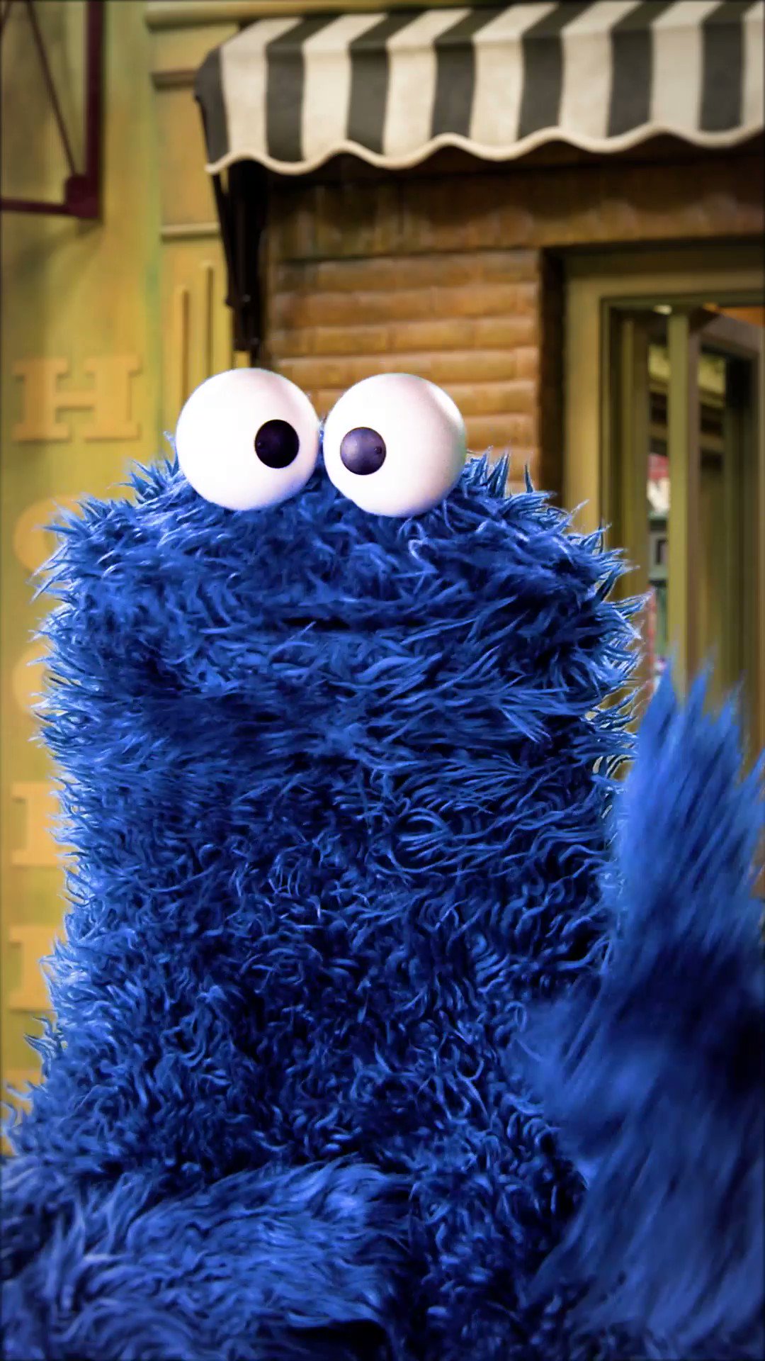 Cookie Monster cookies sesame street HD wallpaper  Peakpx