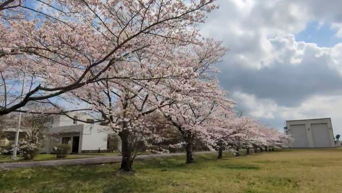 本当に「秒速5センチメートル」なのか。桜吹雪をディドロメータ（雨粒観測装置）で観測したい欲が再燃。 