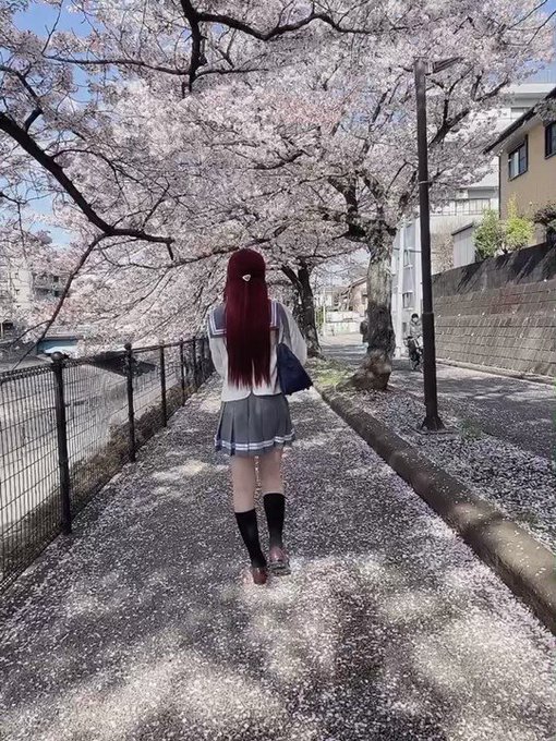 コスプレイヤー椛乃ねむ(もみじのねむ)のTwitter動画1