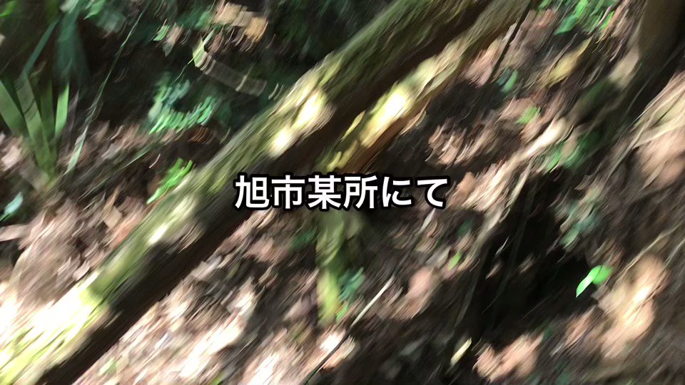 https://pbs.twimg.com/ext_tw_video_thumb/1641424653397946368/pu/img/tZxAPg4ZFB41G4tL.jpg