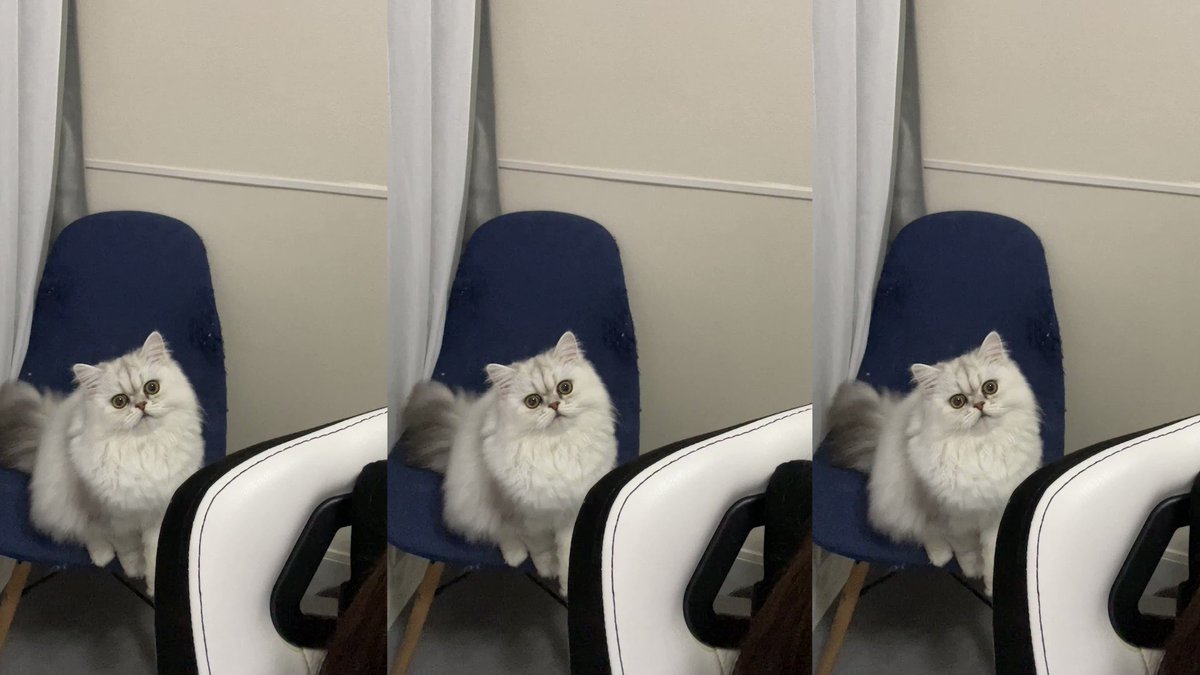 足元のキーバインドは下記のとおりです

ダンパーペダル＝ジャンプ
ソステヌートペダル＝しゃがみ(ホールド)
ソフトペダル＝インベントリ 