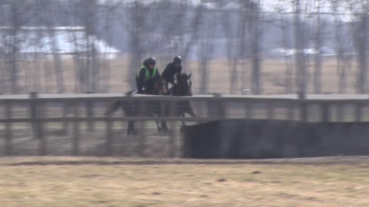 ネージュダムールの分も
活躍が出来たらね😆
とりあえずは馬体重に困らない様に
なってくれると良いな🤔 