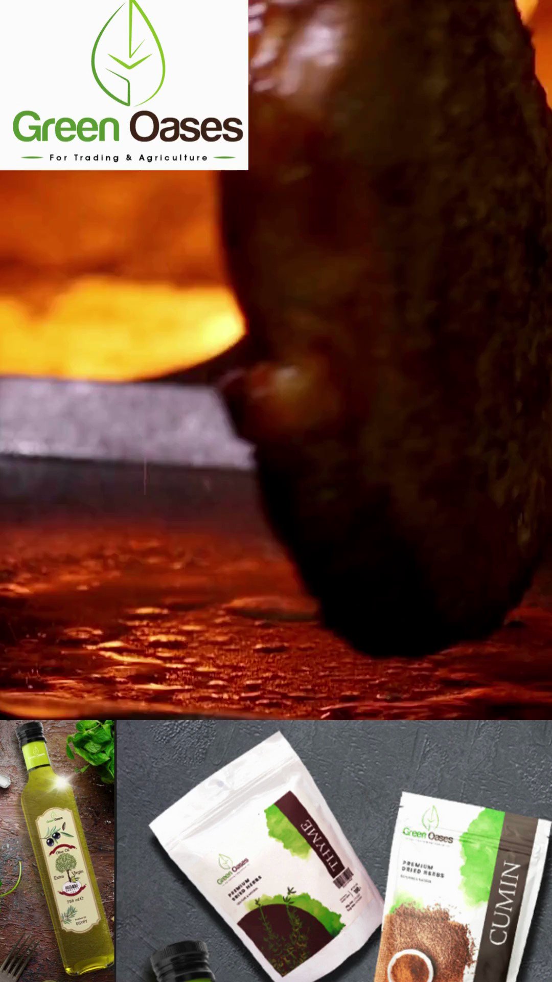 Green Oases (Green_Oases) / Twitter