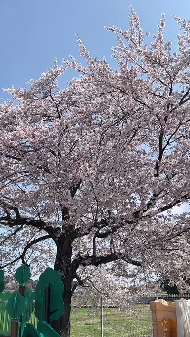 本日も秒速5センチメートル 