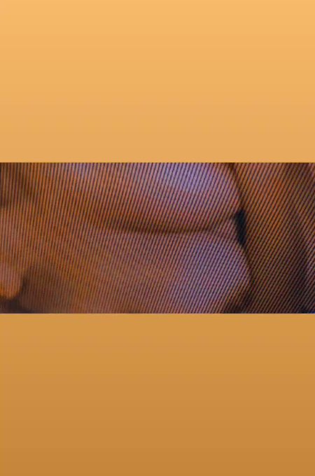 Me encantaría lamer te  asta que te vengas en mi carita de puta ?????https://t.co/Mp31tWfdmk https://t