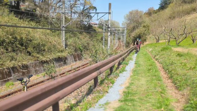 今日のグラベル最高でした‼のんのんびより聖地の廃校にも来ました☺🚵‍♂💨風に舞う桜もキレイでした🌸✨ 