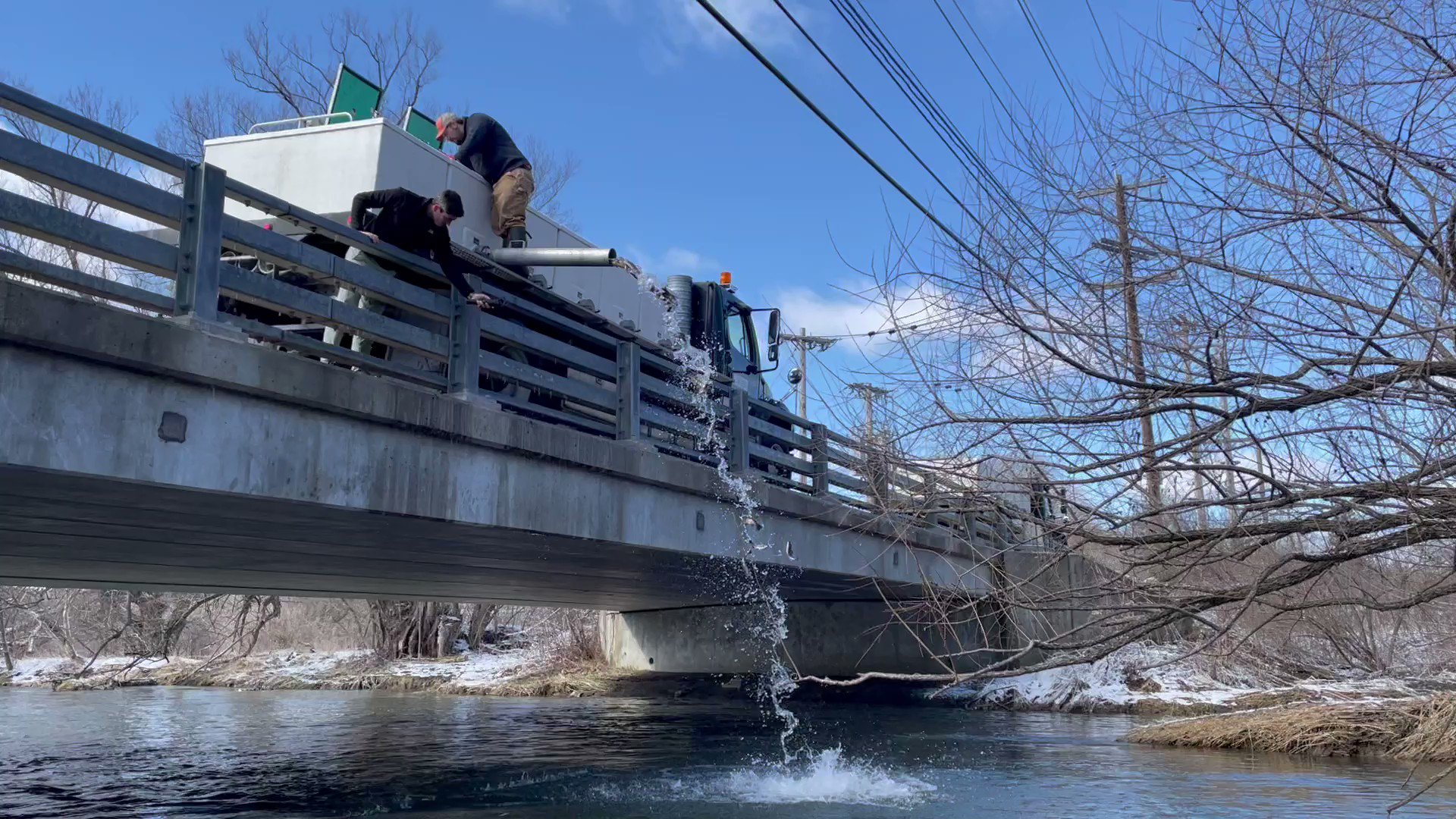 Vermont Is Stocking a New Strain of Rainbow Trout That Could Prove Hardier, Environment, Seven Days