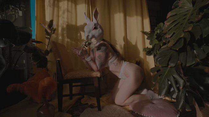 The easter bunny youve been waiting for but been too shy to ask https://t.co/wBJf4mmlvm