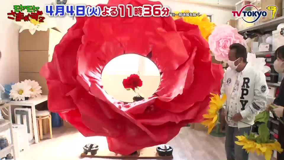 火曜日の #モヤさま は17年目突入記念なのに、なぜか墨田区 #押上 をブラブラしちゃいます かっぽれ師匠に三村がヒヤヒヤしちゃいます💦 魔物がいる巨大フラワー🌹ってなんなんすかね? ⚠️通常より30分押し上げ 23:36からの放送です❗️ #さまぁ~ず #田中アナ #ごっついパンダ #買えるUFO